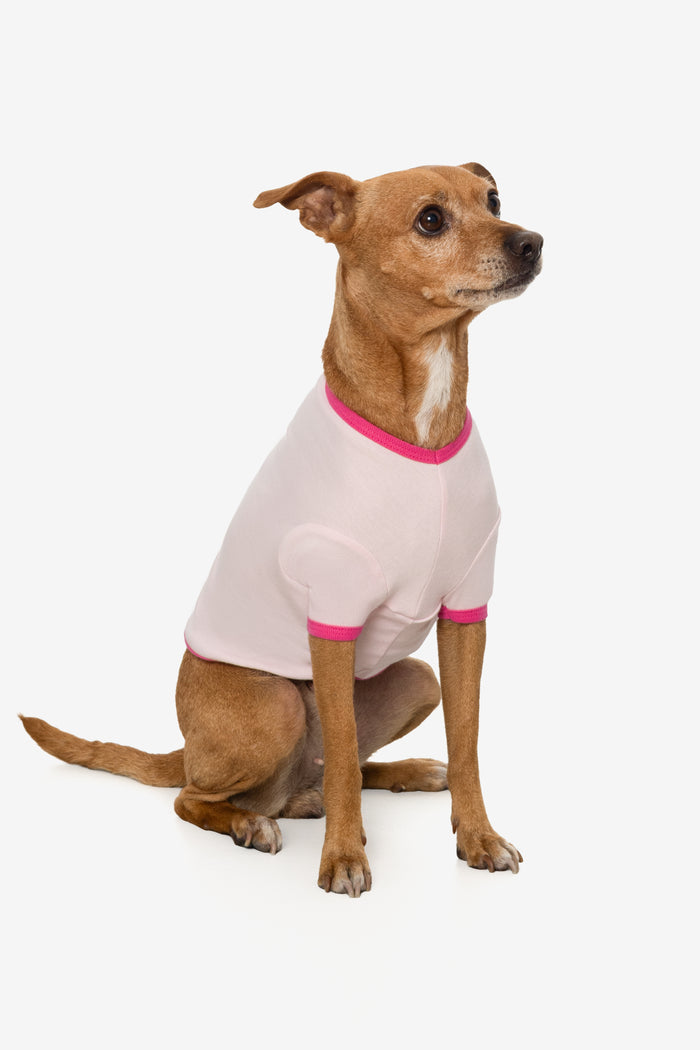 Light Pink/Fuchsia