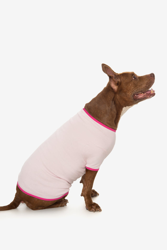 Light Pink/Fuchsia