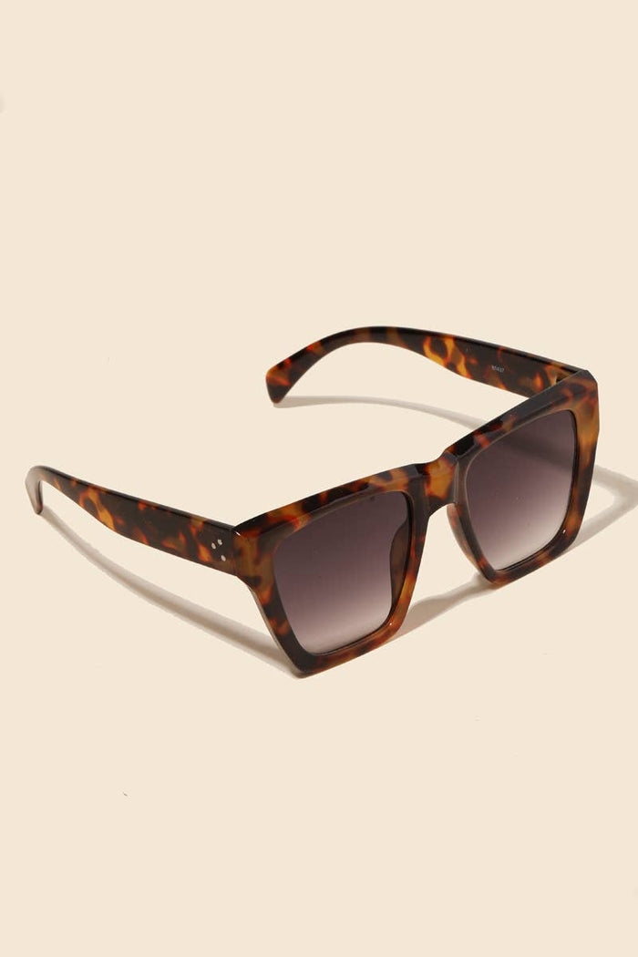 Acetate Frame Assorted Sunglasses Set: MULTI