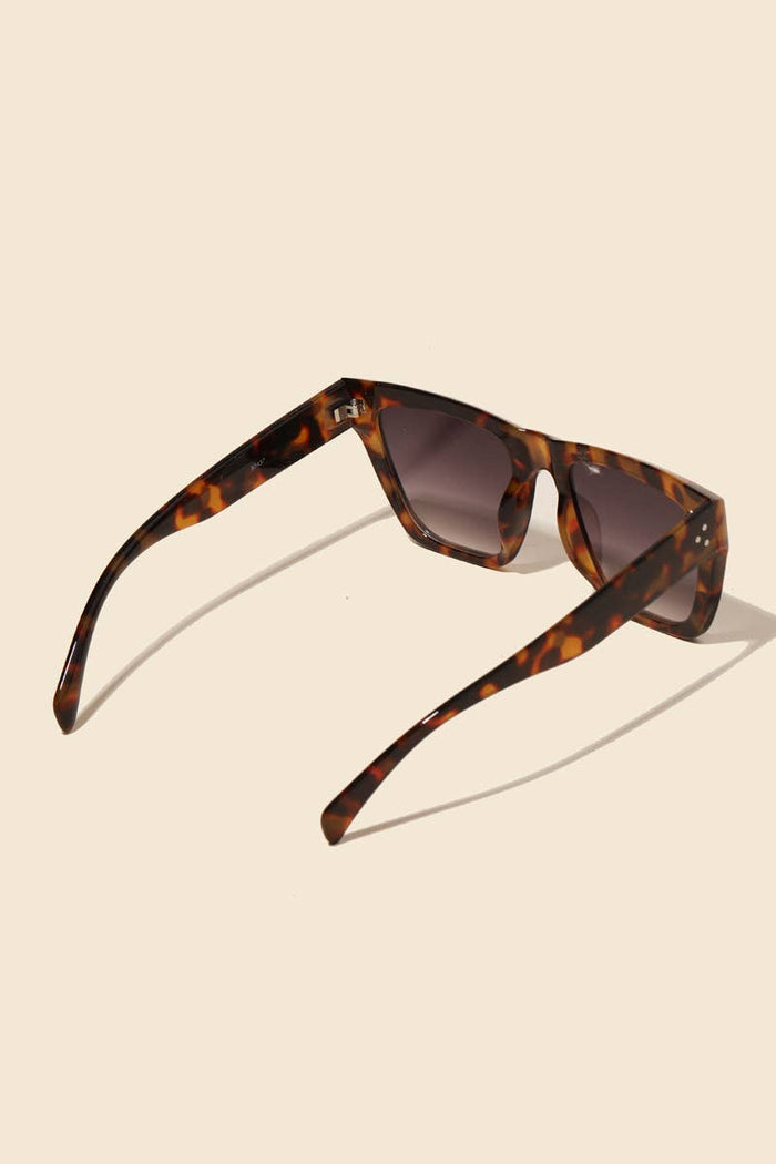 Acetate Frame Assorted Sunglasses Set: MULTI