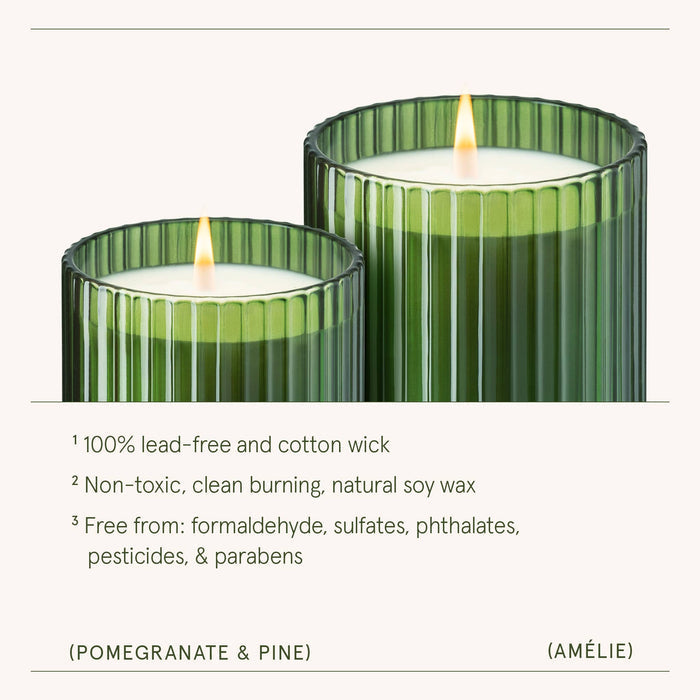 Amélie - Pomegranate & Pine 11oz Candle