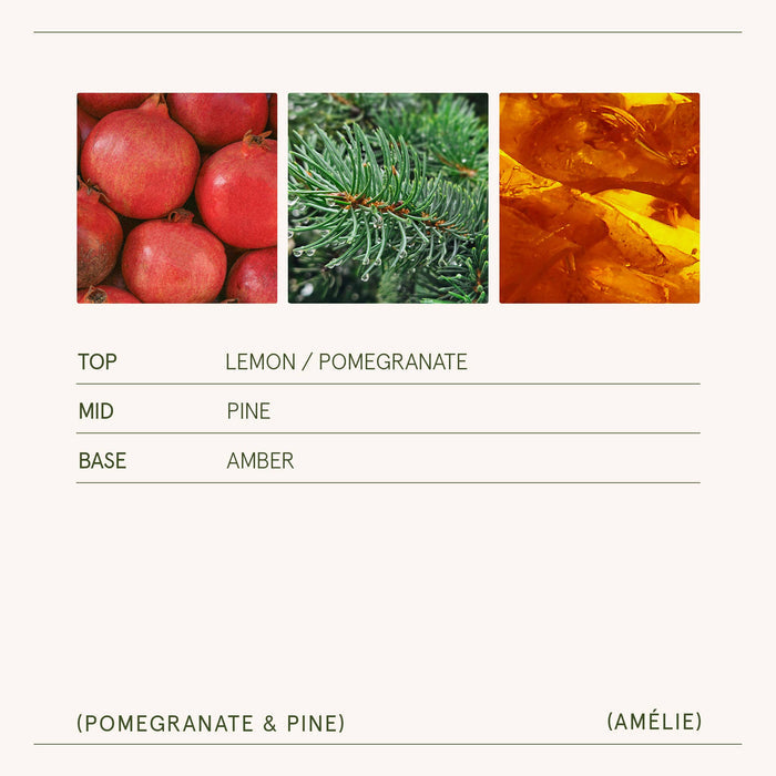 Amélie - Pomegranate & Pine 11oz Candle