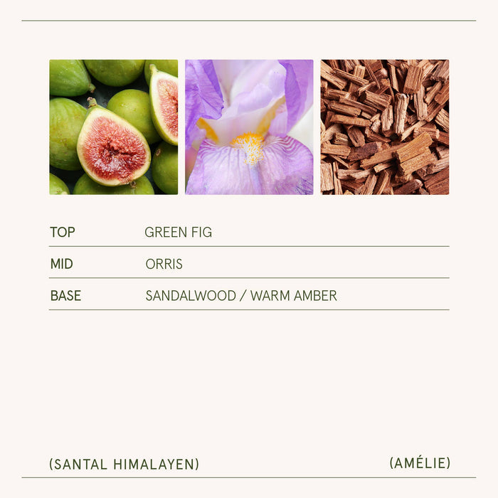 Amélie - Santal Himalayen 11oz Candle