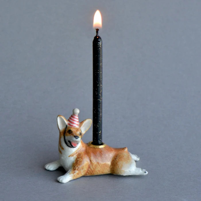 Corgi