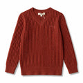 Arza Rust Cable V Neck Sweater