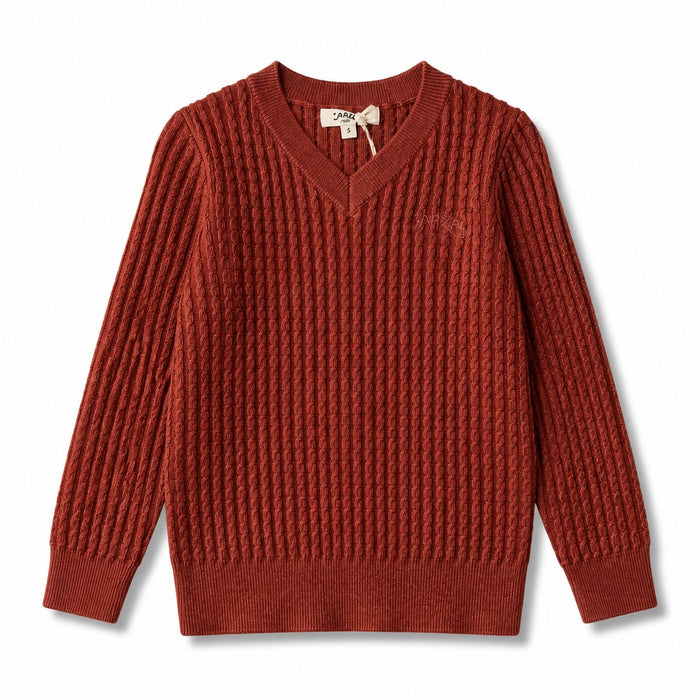 Arza Rust Cable V Neck Sweater