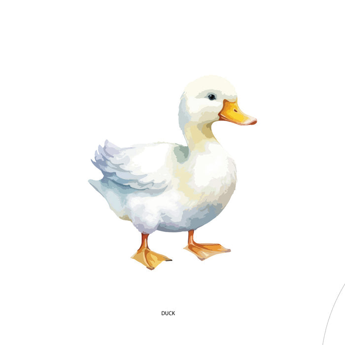 Design Your Own Plate - Duck
