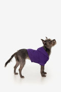 Purple / XS