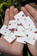 Greek Letter Studs