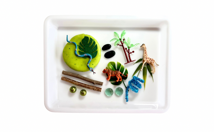 Jungle and Safari Animals Playdough Kit