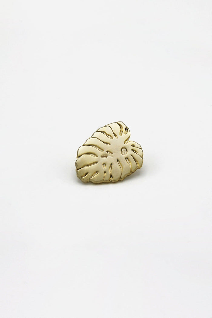 Monstera Leaf