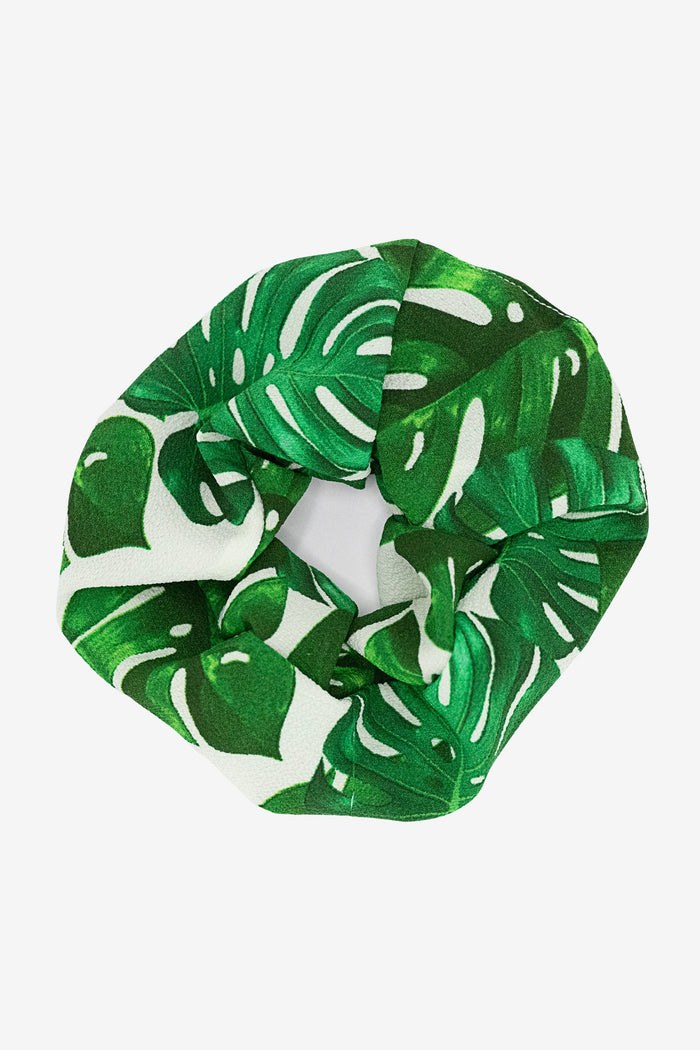 Monstera Leaf