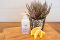 Willowbend Curated Hand Lotion